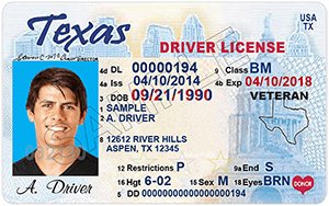 texas drivers license sample